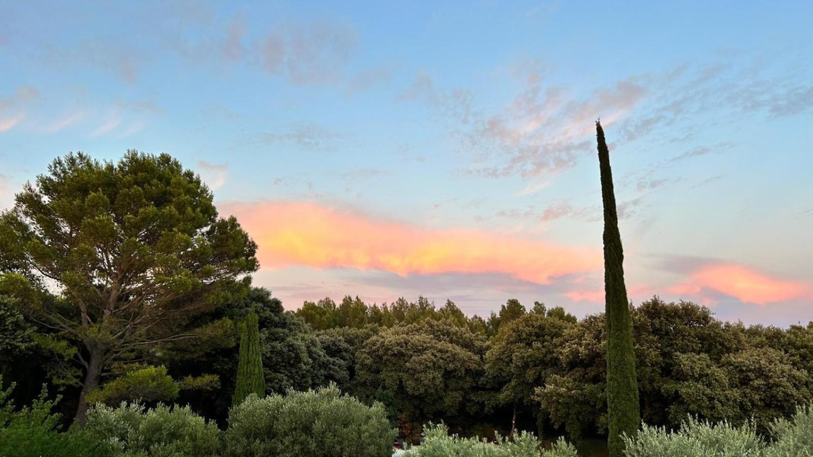 Domaine Colibri En Provence Hotel Pujaut Exterior photo