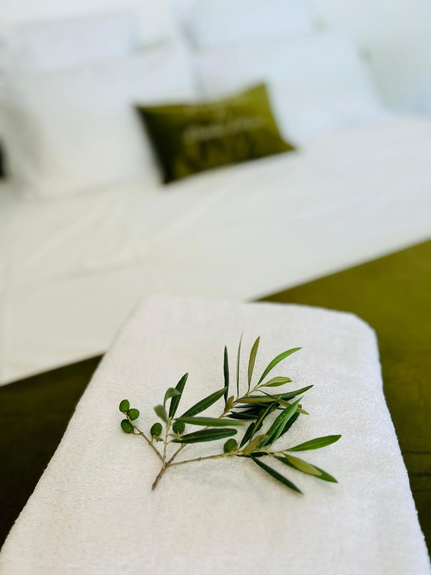 Domaine Colibri En Provence Hotel Pujaut Exterior photo